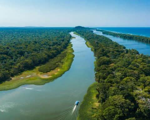Mini Tortuguero desde San José - Costa Rica a la carta