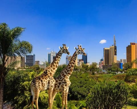 Safari no Quénia + Praia