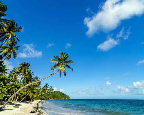 Capurganá con tiquetes aéreos desde Medellín  2025 4ta noche GRATIS