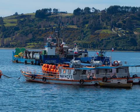 Black - Bloqueo Chiloé 05 Noches Vía SKY - Hotel de Castro
