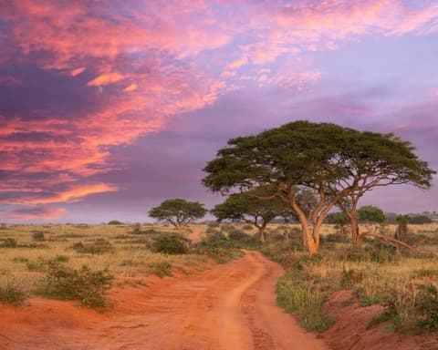 EXPLORE UGANDA Emozioni Africane