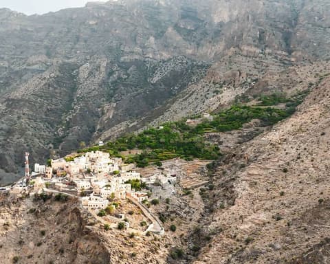 Snake Canyon & Apricot Blossom