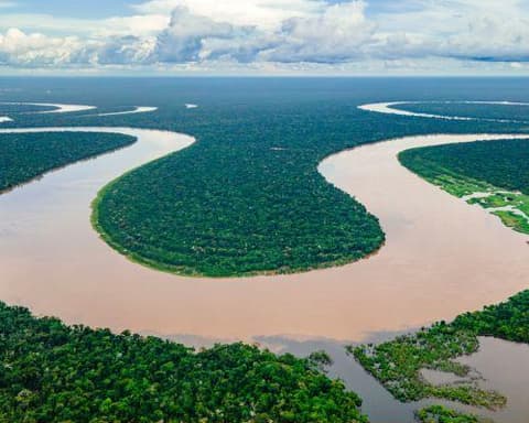 Plan Arapaima Casa Sobre Los Árboles