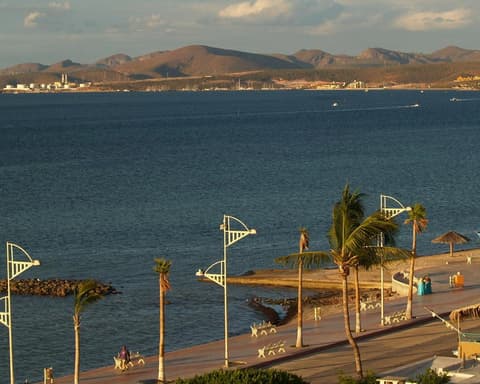 Baja California Sunshine