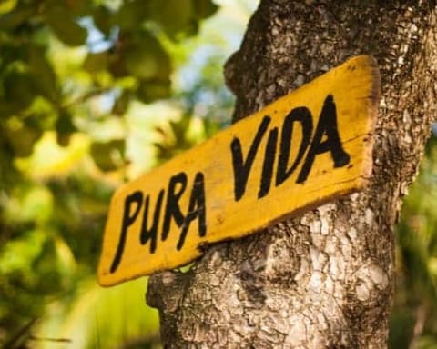 Pura Vida Exclusivo TUI