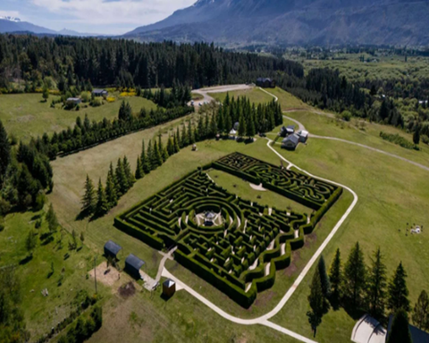 Tulipanes en Trevelin - 10 OCT