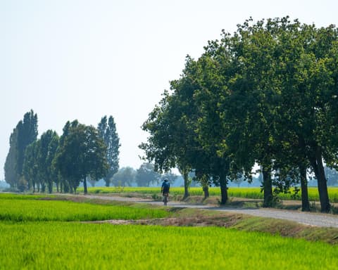 Biking in the "Central Park" between Turin and Milan - 3 days