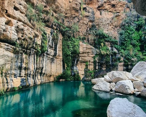 Wadi Tiwi & Dayqah