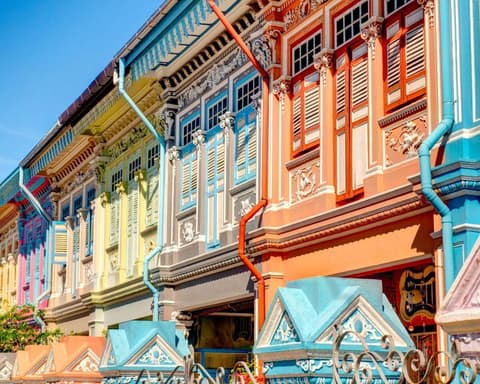 EXPLORE Singapore, La Metropoli Foresta