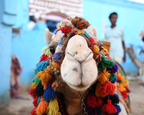 EXPLORE Egitto, I Tesori d'Egitto