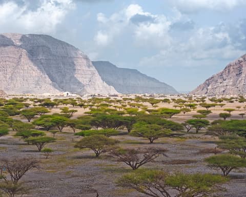 Musandam / Khasab Extension 