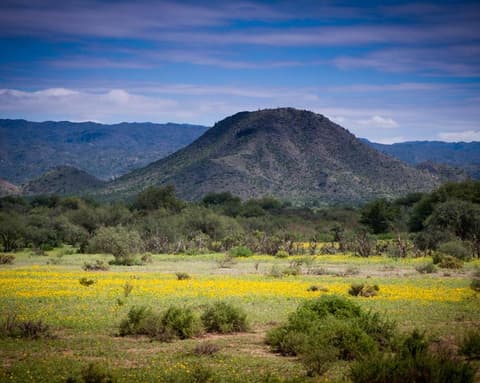 Programa San Juan, La Rioja y Catamarca - Triasico y caminos ancestrales del adoble