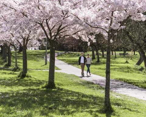 Best of Neuseeland Selbstfahrer-Rundreise