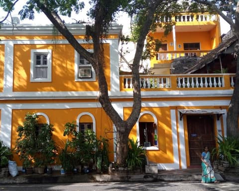 EXPERIENCE INDIA Il Sud, Tamil Nadu & Kerala