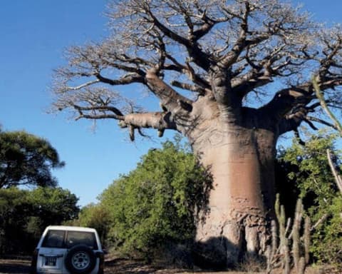 Rundreise "Madagaskar: Menschen und Lemuren"
