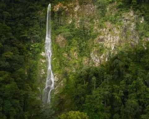 Lo Mejor de Honduras