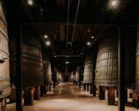 Colonia y Carmelo Mágico