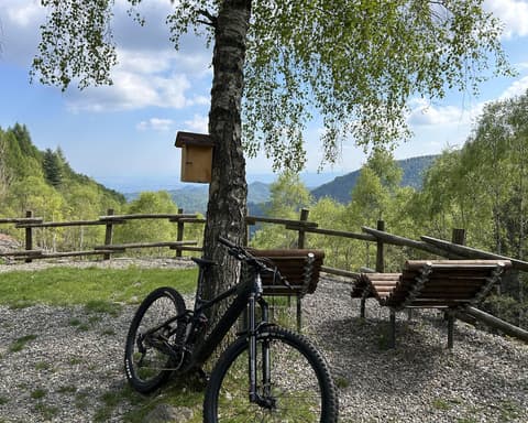 Biking in the "Central Park" between Turin and Milan - 3 days