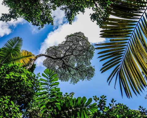 Costa Rica & Nicaragua Rundreise