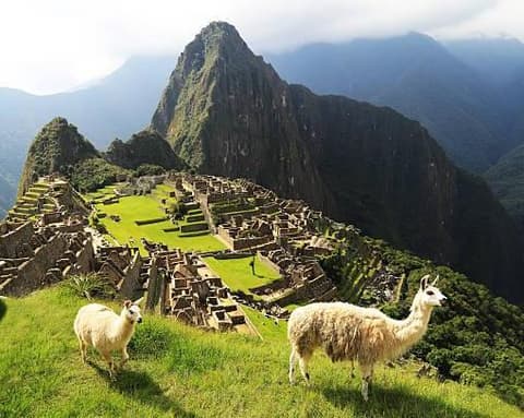 CUSCO DE LOCURA | 4D-3N (Hoteles Hilton Garden 4 *)