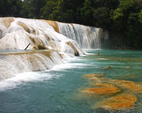 Navidad y Fin de Año en Chiapas