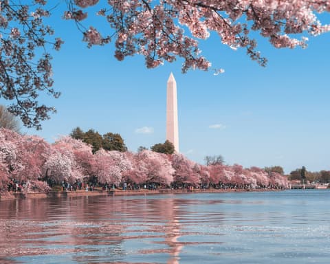 Dalle Origini dell’America alle Radici Amish