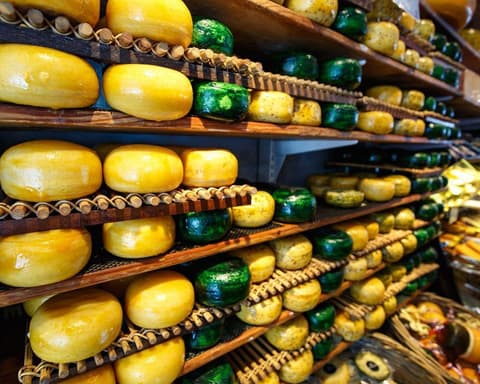  EXPLORE AMSTERDAM E L'OLANDA del Nord