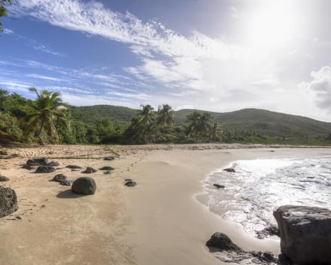 Capurganá con tiquetes aéreos desde Medellín  2025 4ta noche GRATIS