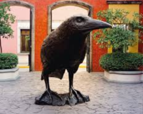 World Tour in Jalisco (Spain vs Uruguay Match)