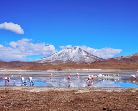 Bloqueo Semana Santa San Pedro de Atacama 03 Noches Vía SKY - Hotel Cumbres 