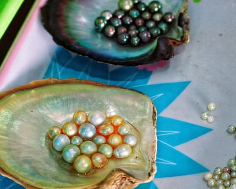 Tour classico del Vietnam