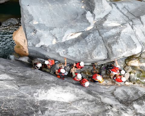 Snake Canyon & Apricot Blossom