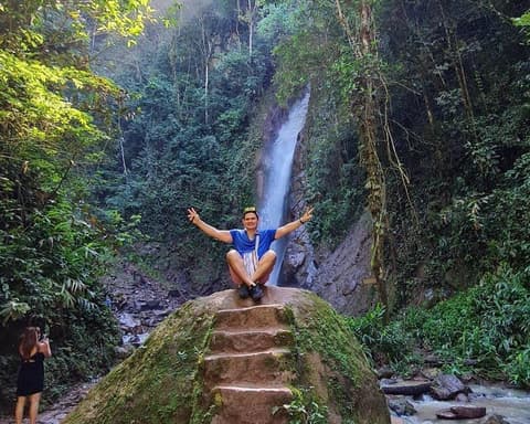 Fabulous Central Jungle 03 Days / 02 Nights