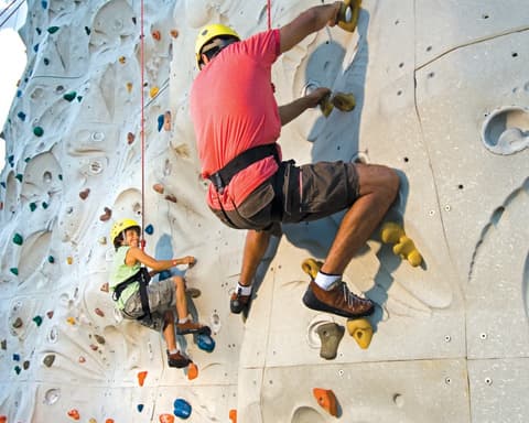 ALASKA - VOYAGER OF THE SEAS