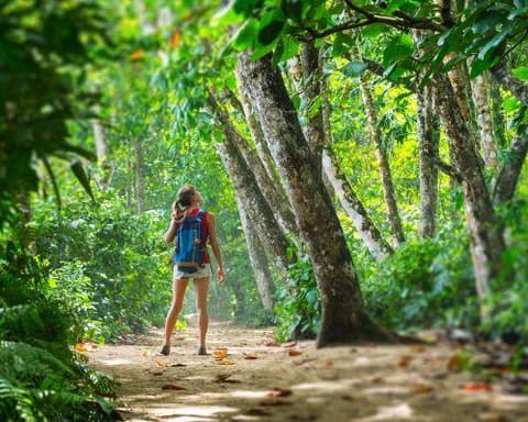 Pura Vida con Manuel Antonio - Tour Regular