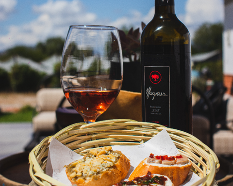 La Vendimia en Tarija 2025