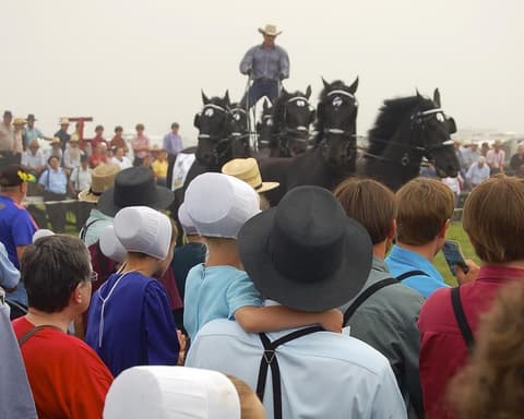 Dalle Origini dell’America alle Radici Amish