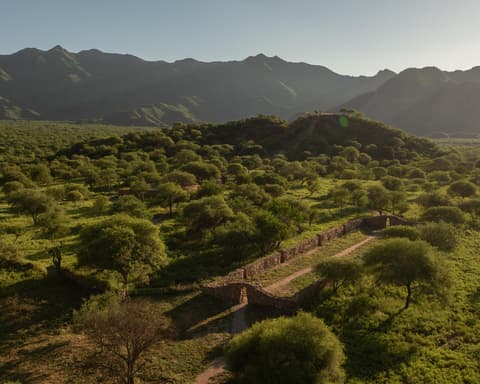Programa Catamarca: Puna