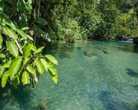 Tarapoto Natural 05 Días - 04 Noches