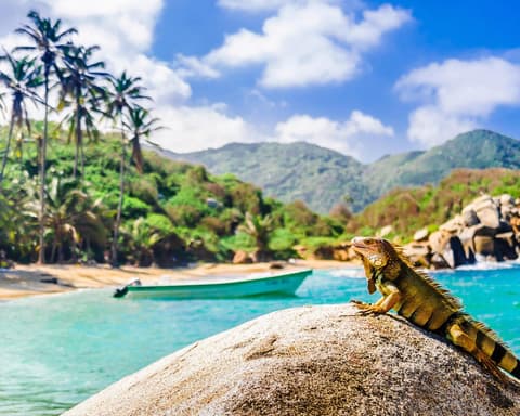 Santa Marta La Perla del Caribe 04 Días / 03 Noches