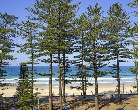 Sydney & the Blue Mountains Rundreise