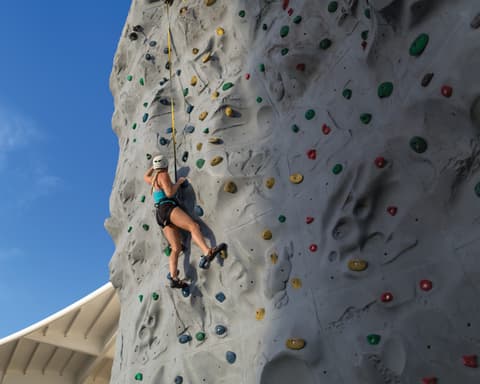 CARIBE - ADVENTURES OF THE SEAS