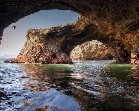 Paracas with overnight Paracas 03 Days - 02 Nights (Foreigners)