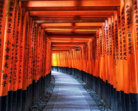 EXPLORE GIAPPONE I Colori dello Shibazakura