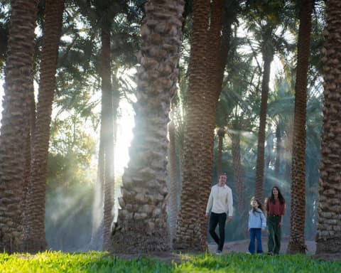 ARABIA SAUDITA DISCOVERY