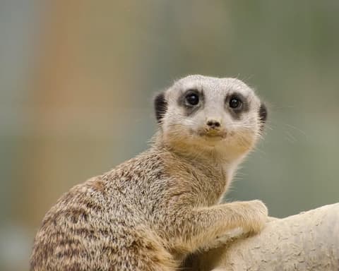 Mete imperdibili della Namibia