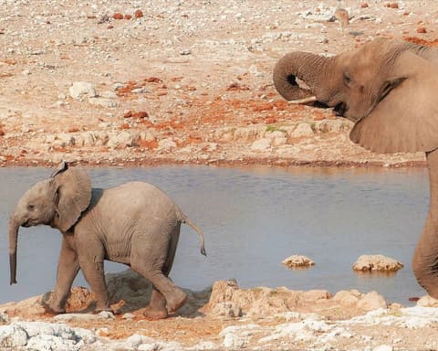 Mete imperdibili della Namibia