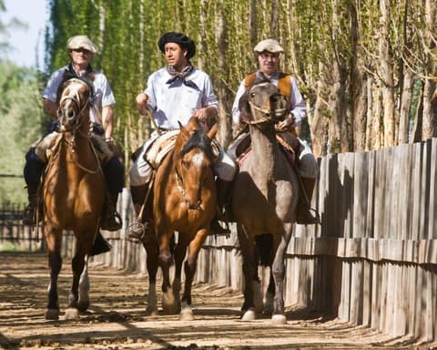 EXPLORE ARGENTINA, PATAGONIA Immagini di una Terra Selvaggia