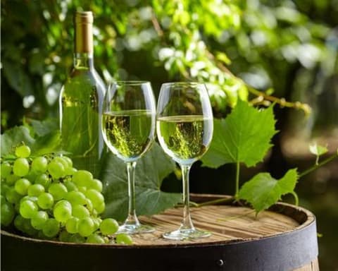 Alojamento Gratuito na Rota  Delicias do Mar do Norte