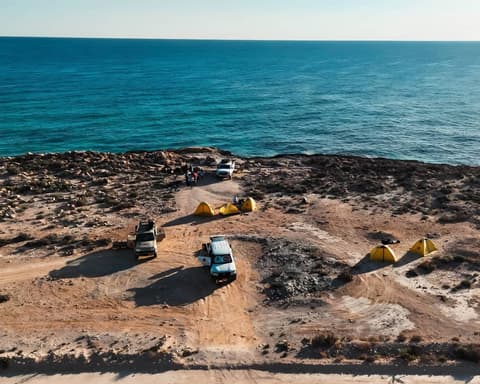 New Year: The Explorer’s Quest - 2026